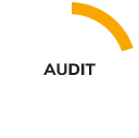 audit